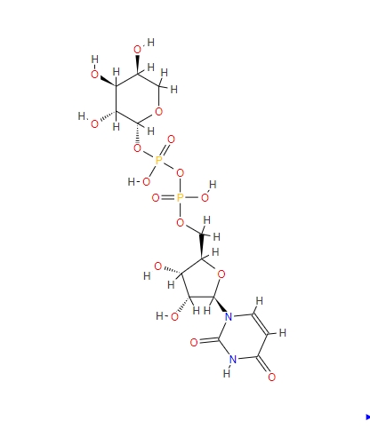 UDP-阿拉伯糖CAS:15839-78-8